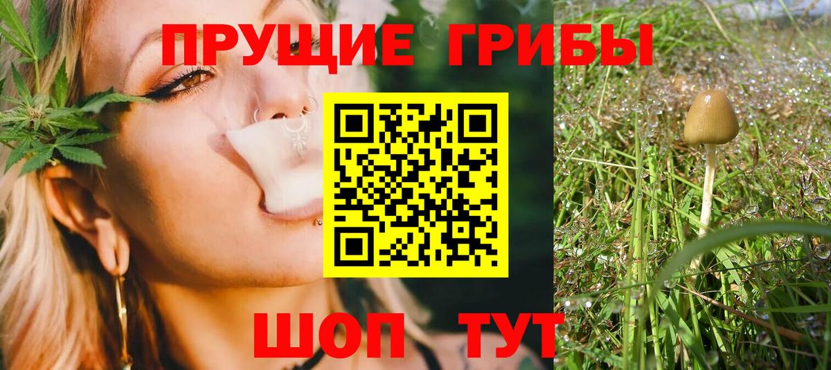 Псилоцибиновые грибы ЛСД  Псилоцибиновые грибы мицелий  Вход с VPN  Пугачёв 